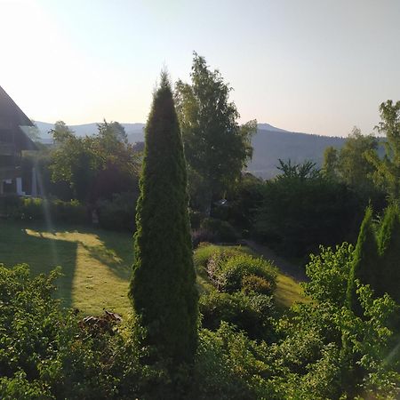 Ferienwohnung Apratman Julie - Bavorska Ruda Bayerisch Eisenstein Exterior foto