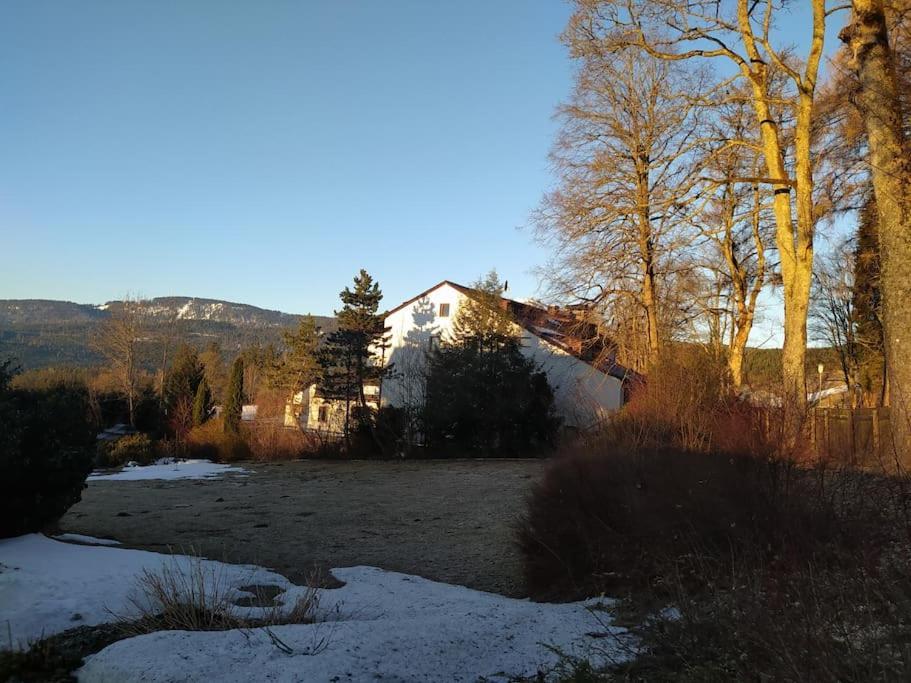 Ferienwohnung Apratman Julie - Bavorska Ruda Bayerisch Eisenstein Exterior foto