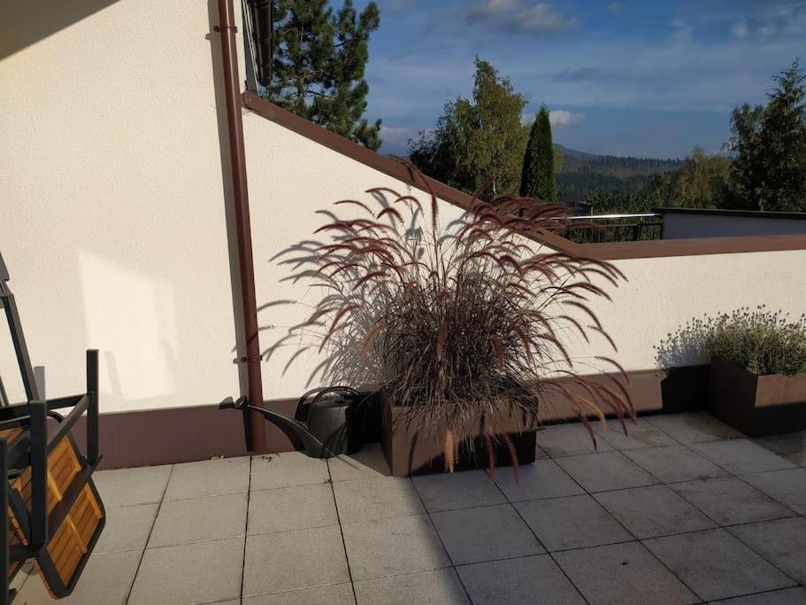Ferienwohnung Apratman Julie - Bavorska Ruda Bayerisch Eisenstein Exterior foto